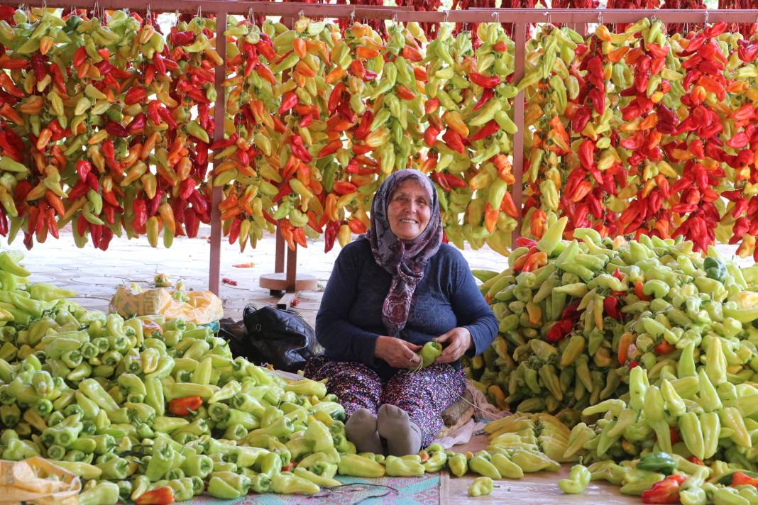 Tescilli 3 biberden biri! Renk ve lezzetin uyumu turistleri hayran bıraktı 3